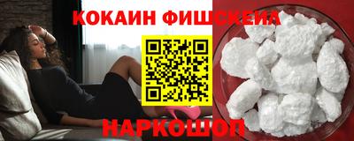 индика Кингисепп