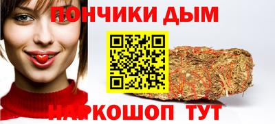 индика Кингисепп