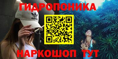 индика Кингисепп