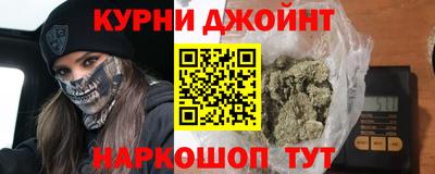 индика Кингисепп
