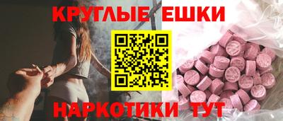 индика Кингисепп