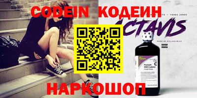 индика Кингисепп