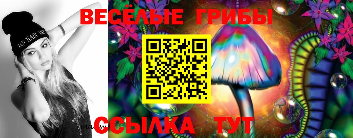 Когалым  Псилоцибиновые грибы Psilocybe  Вход с VPN 
